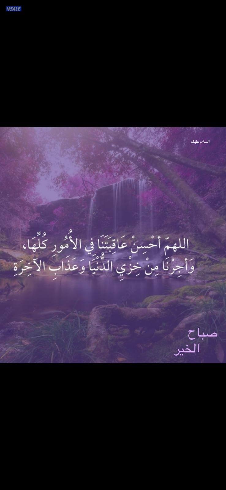 ابحث عن عمل في مجال السياحة والسفر0