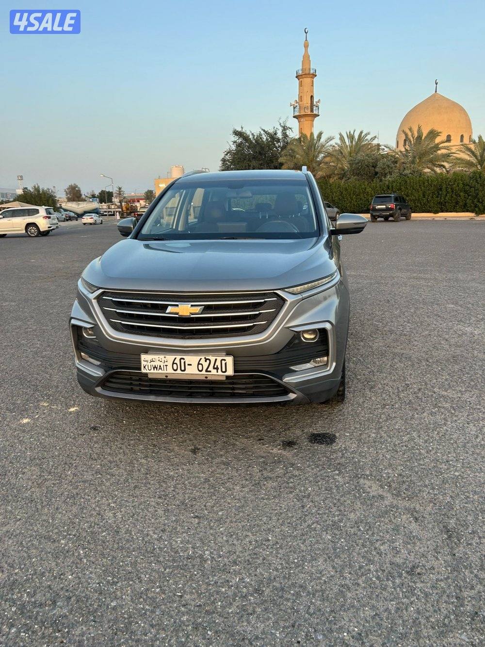 للبيع كابتفيا صبغ الوكالة1