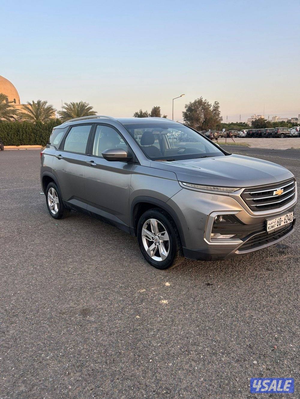 للبيع كابتفيا صبغ الوكالة2