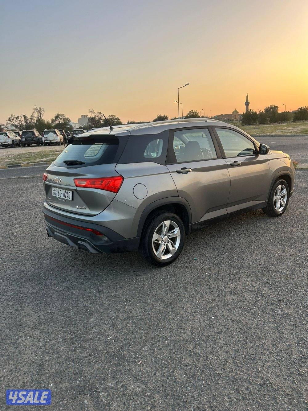 للبيع كابتفيا صبغ الوكالة4