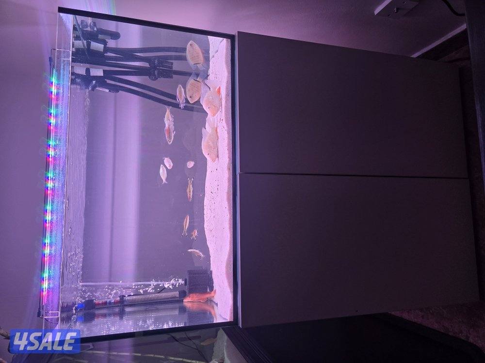 حوض سمك تفصال0