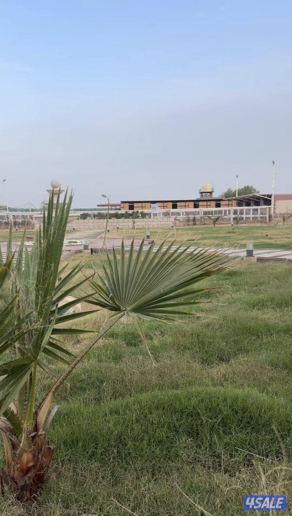 ايواء خيل بالوفرة1