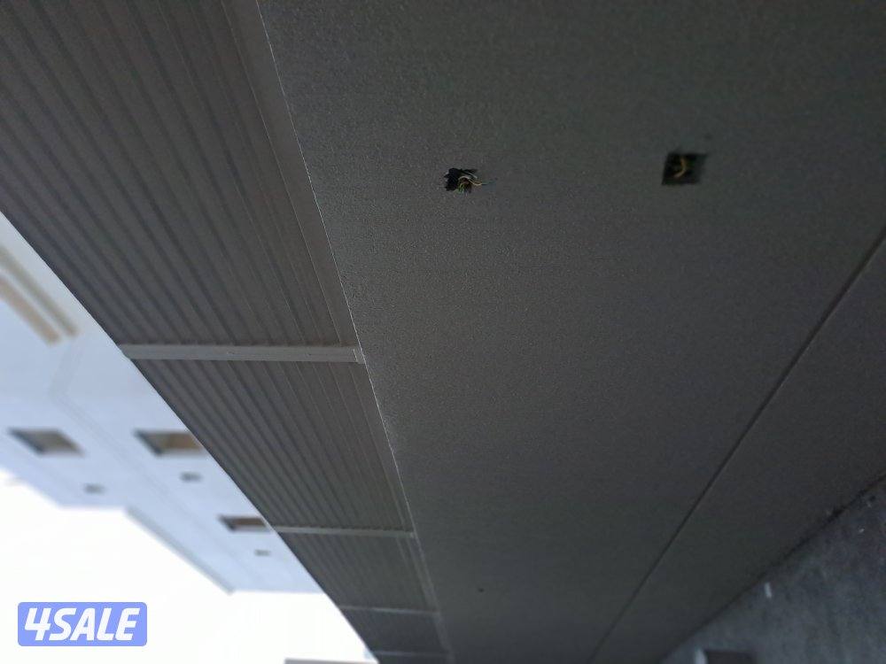 MDi Anowar mozzalati hadat4