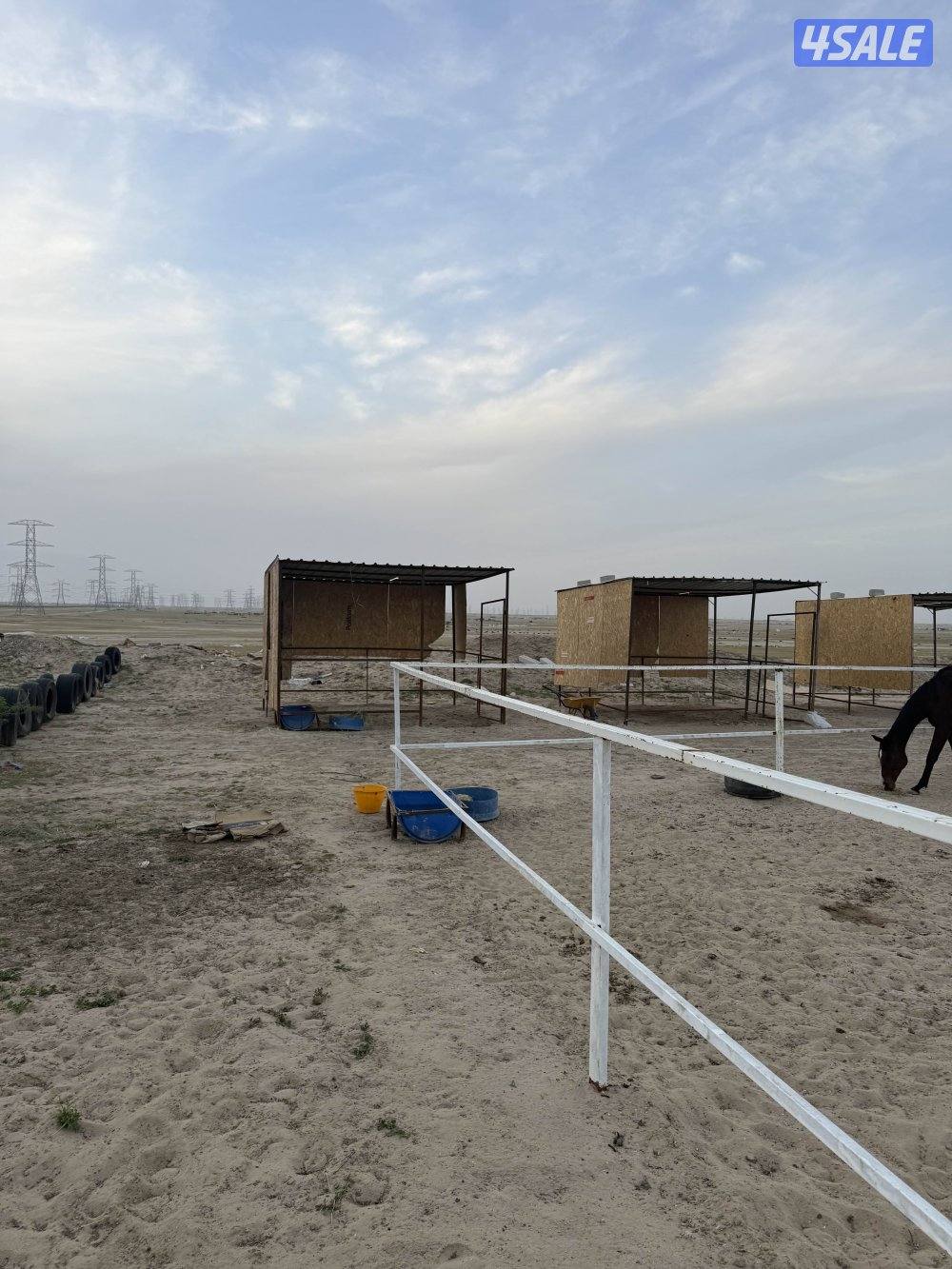 للايجار مربط خيل  بالبر بالوفره  شامل العنايه و العلاجات عليك ذ1