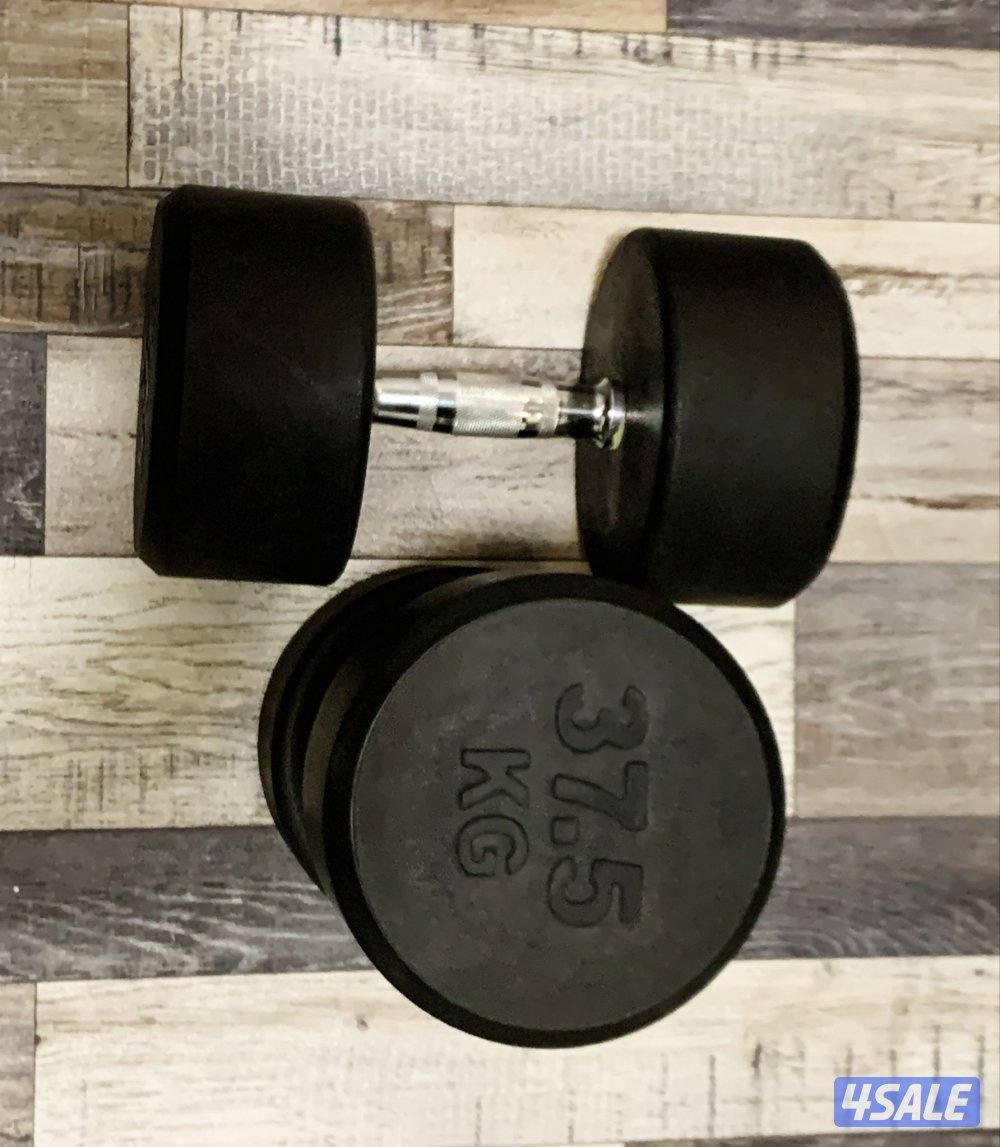 دامبلز + ستاند للبيع3