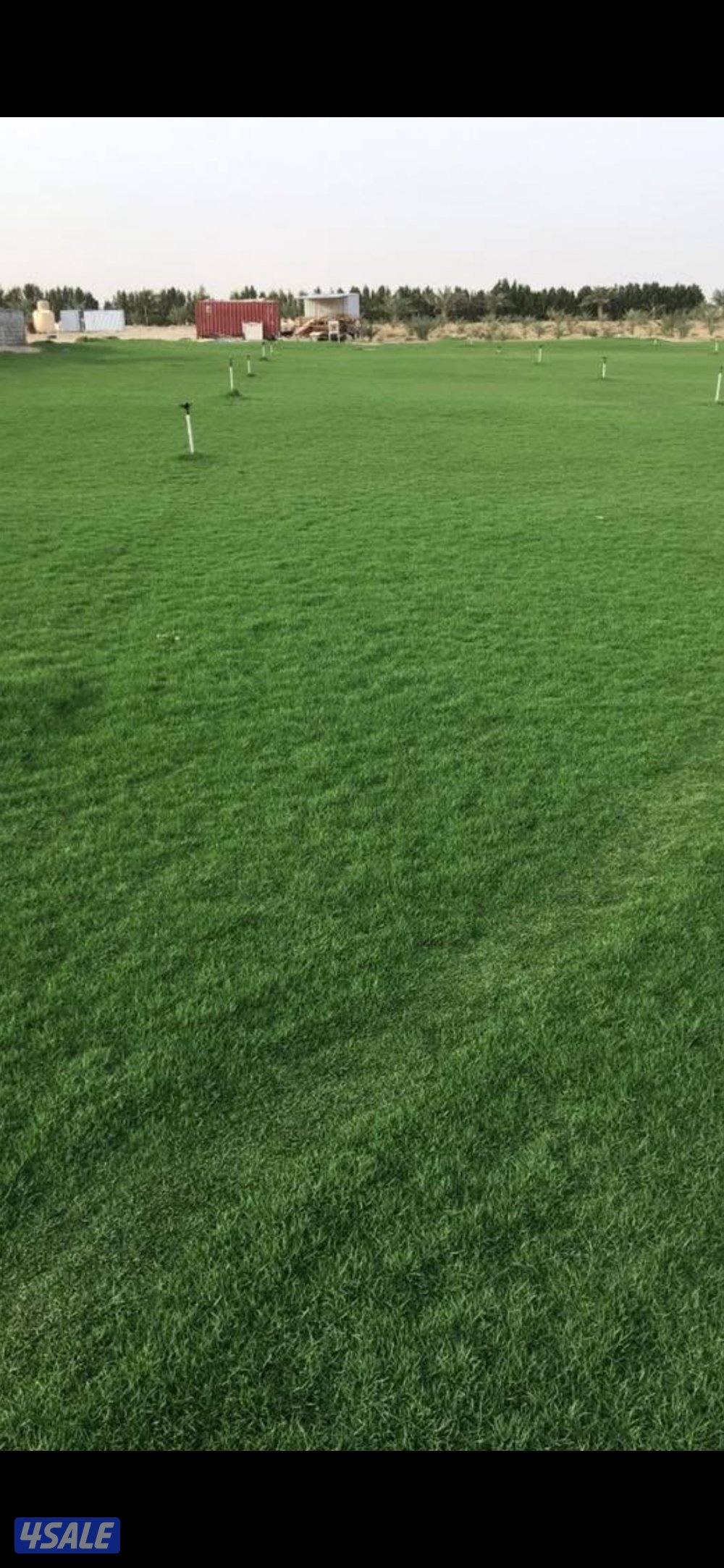 تنسيق حدايق وتركيب شبكات رى0