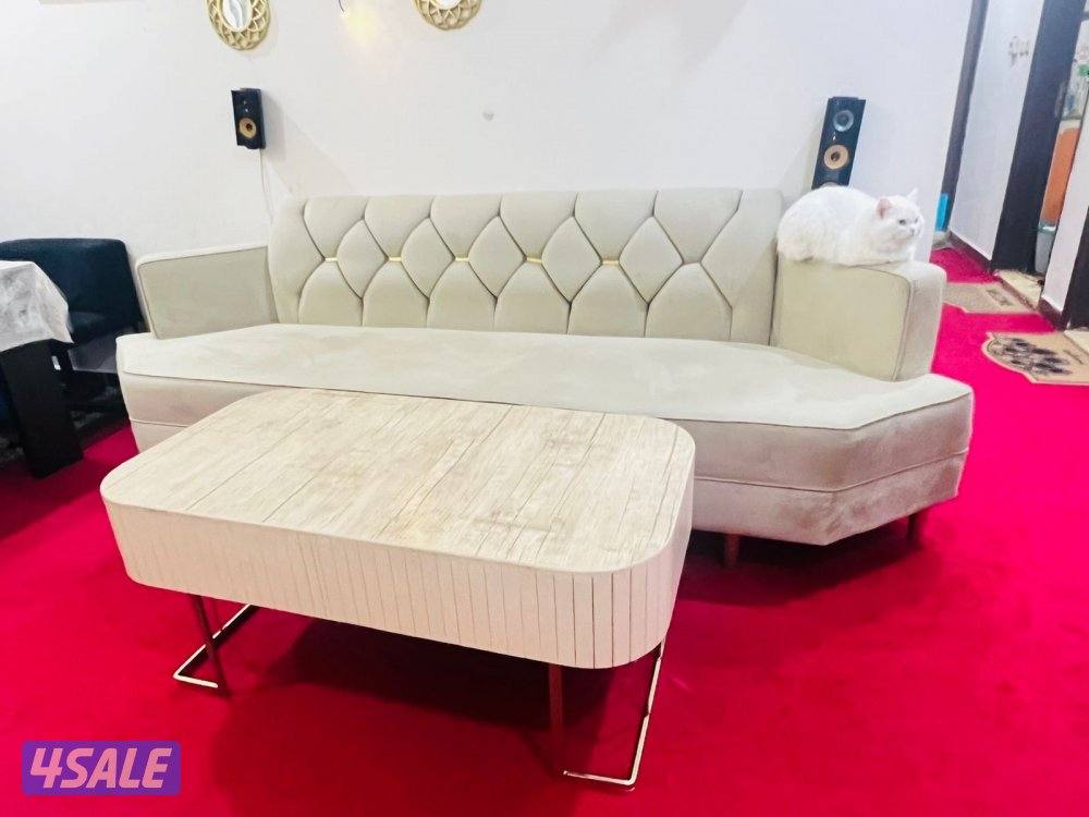 Sofa with center table5