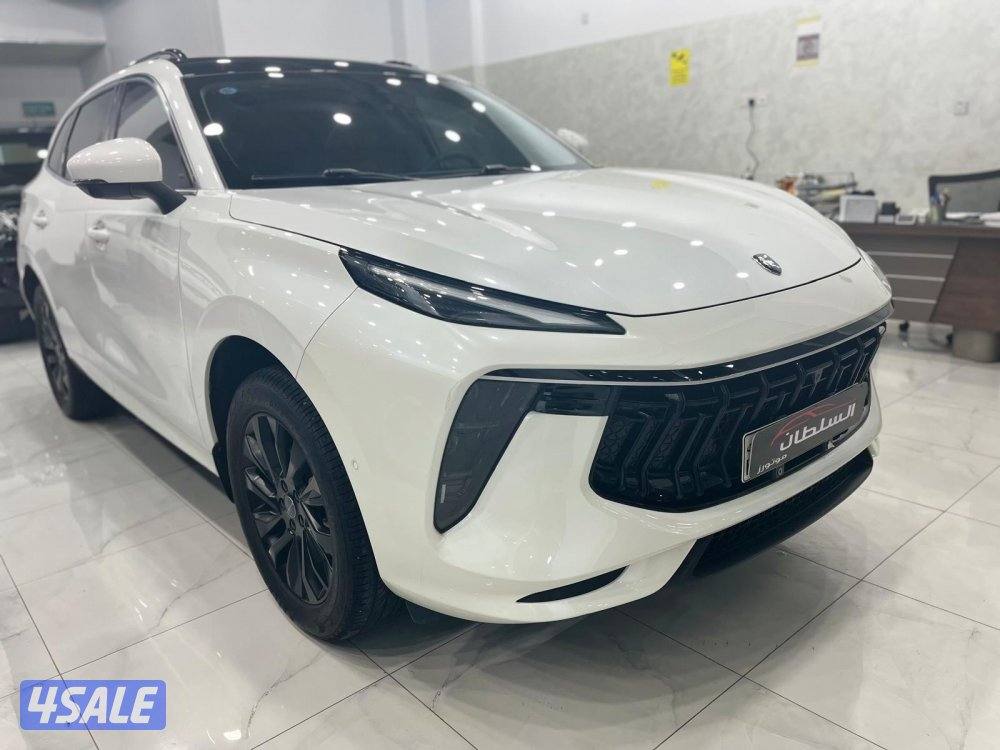 للبيع فورثنج _T5 موديل ٢٠٢٤ وارد الوكاله عداد ٢٤ ألف كم, No:20850634