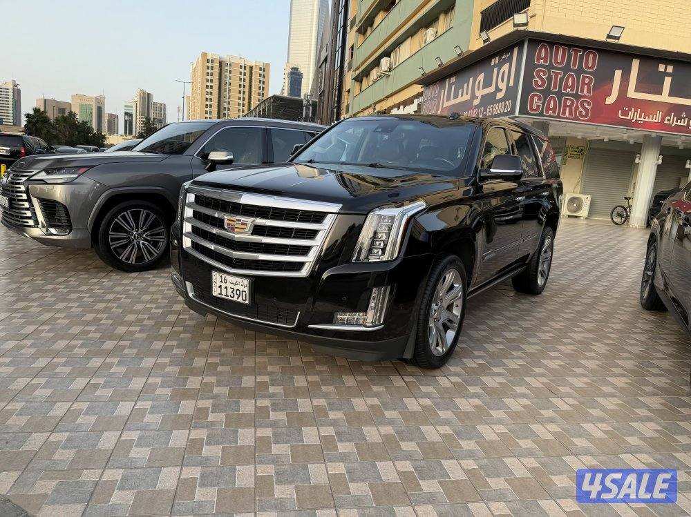 2019 كاديلاك Escalade