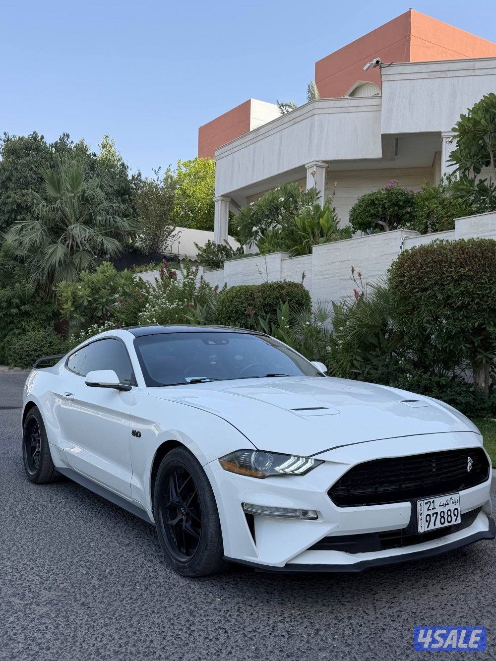 2022 فورد Mustang