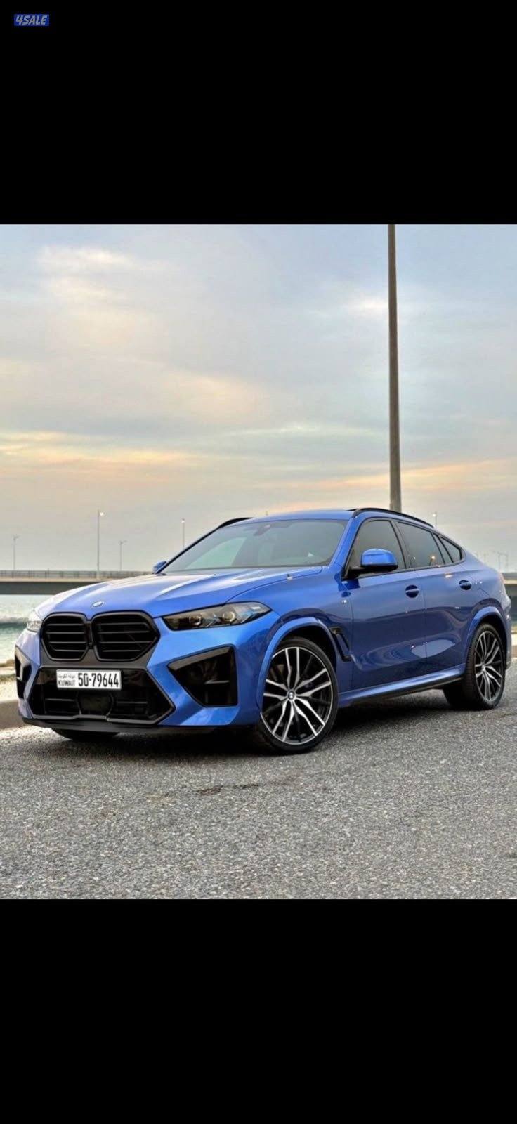2021 BMW X6