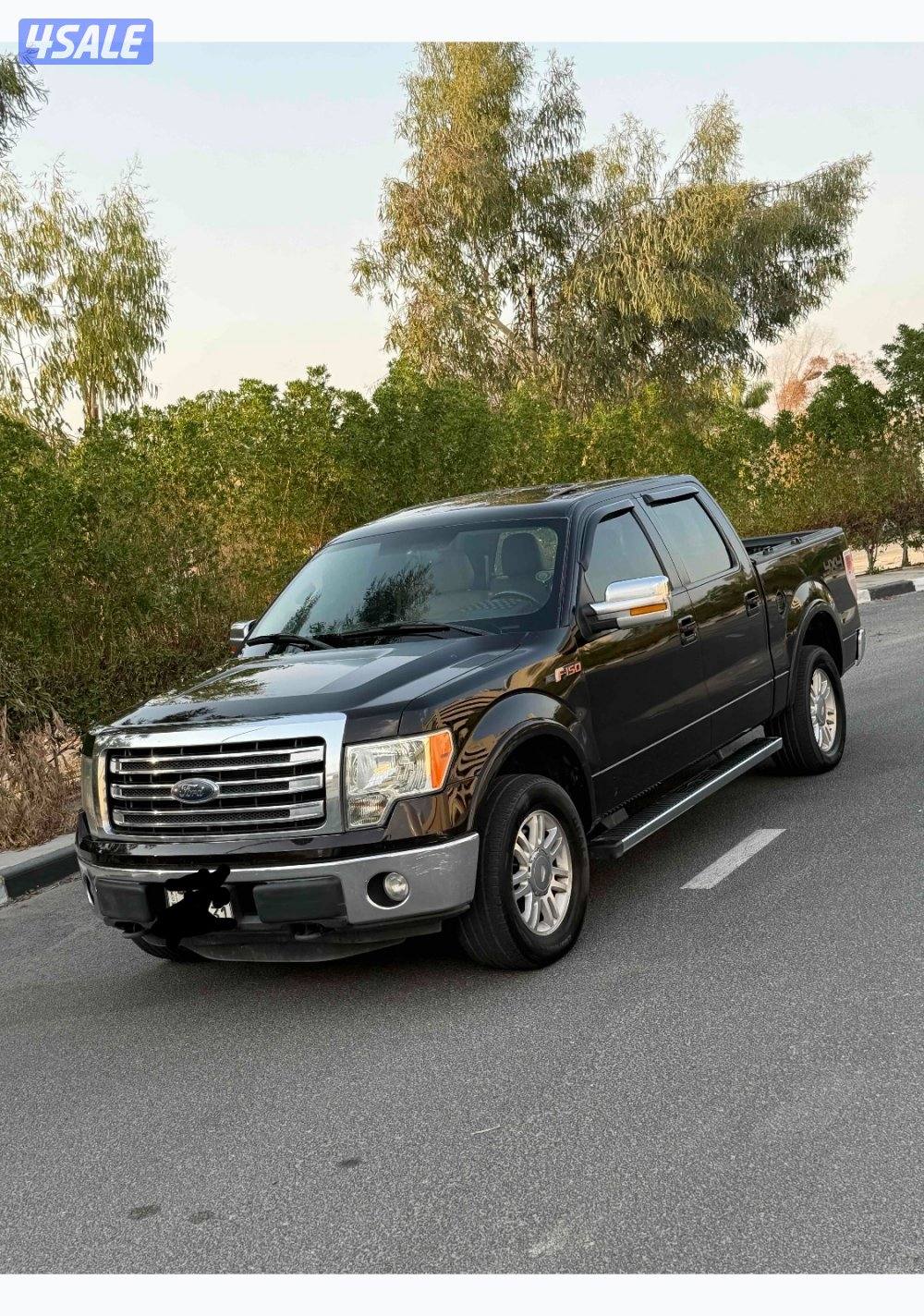 2013 فورد F-150