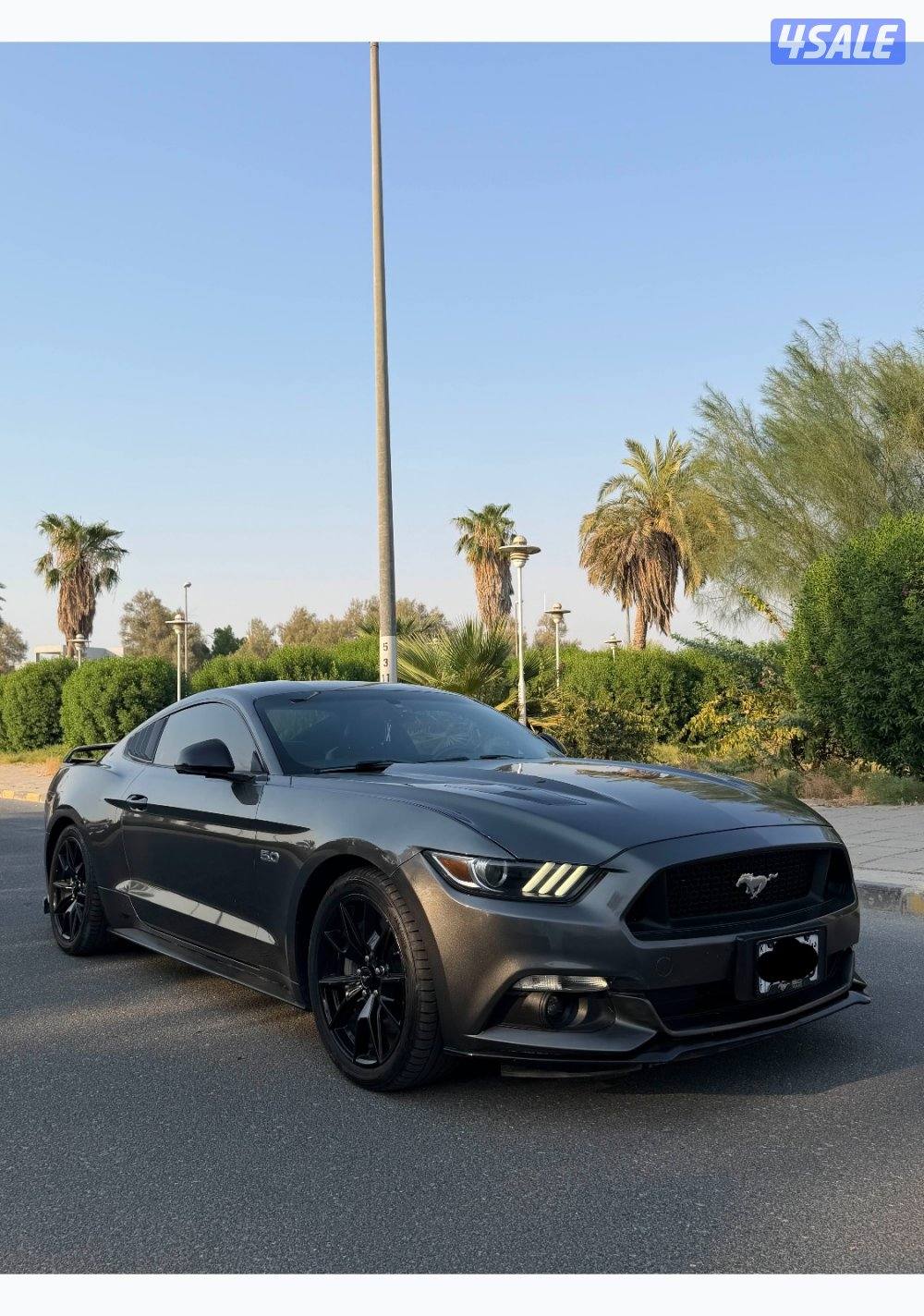 2015 فورد Mustang