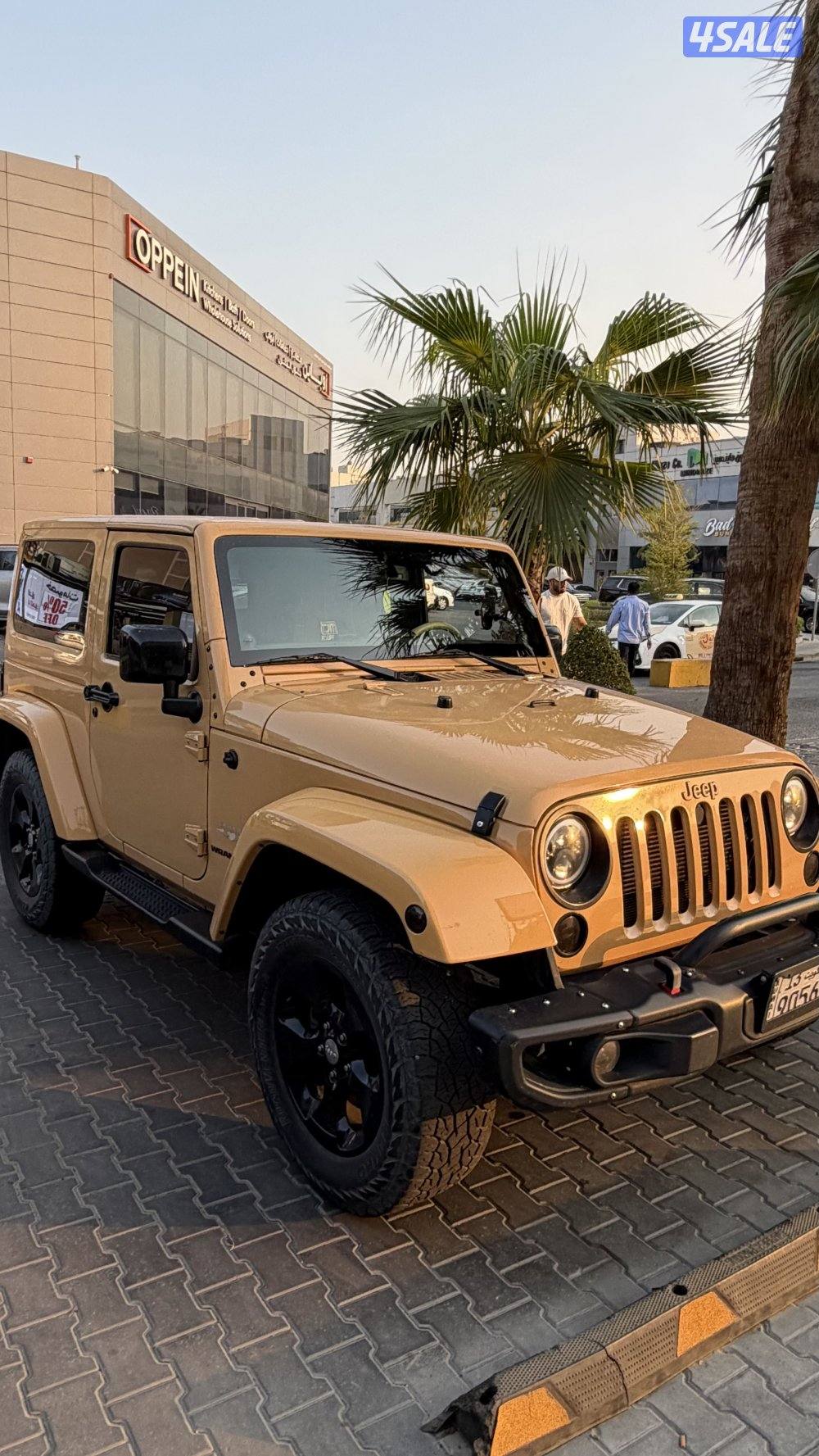 2017 جيب Wrangler