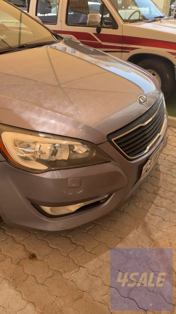2011 Kia Cadenza