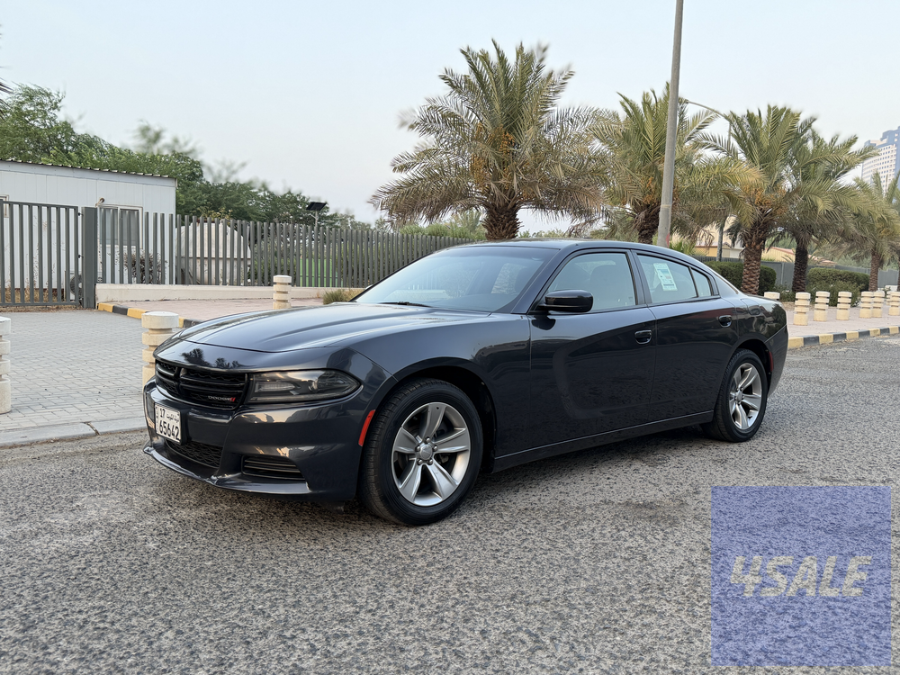 2019 Dodge تشارجر