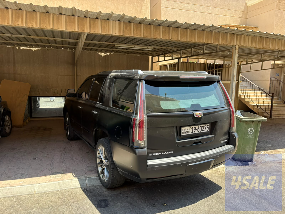 2020 كاديلاك Escalade