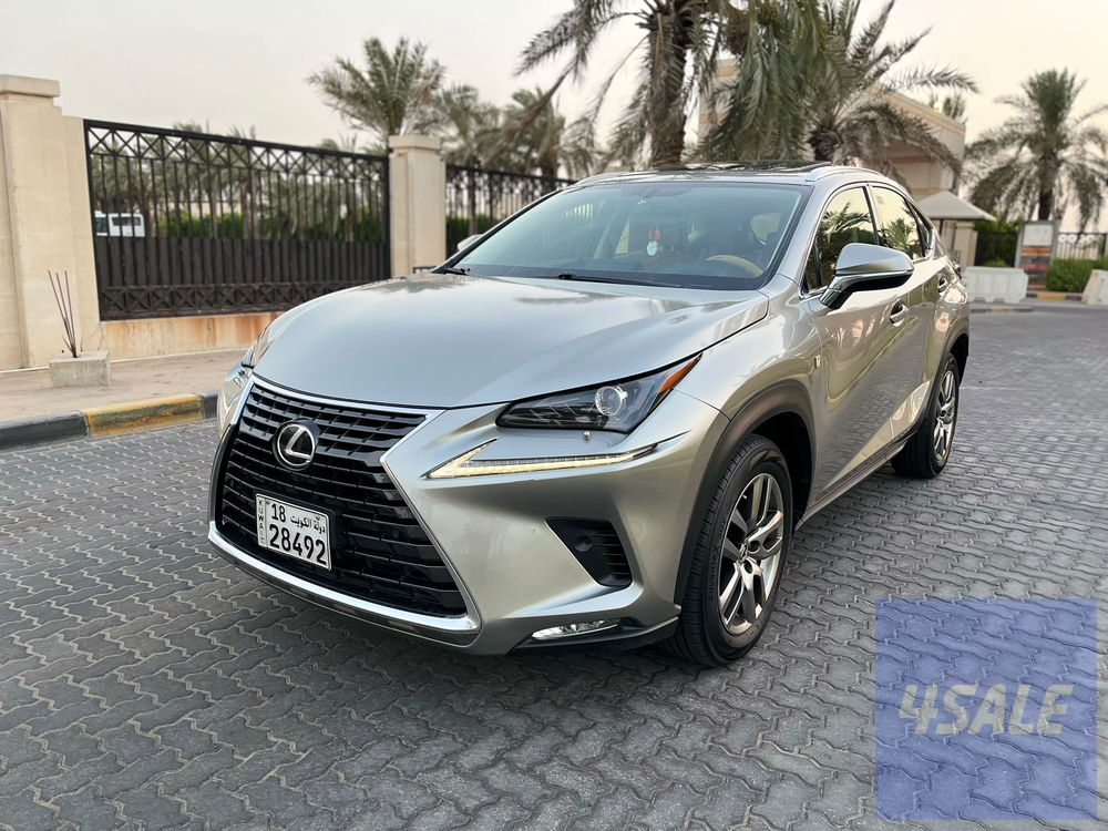 2020 Lexus NX