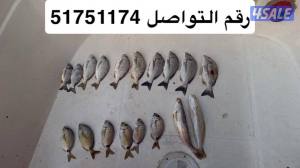 listing img