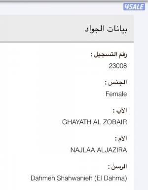 listing img