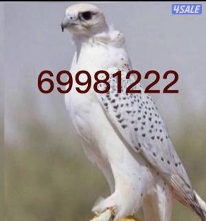 listing img