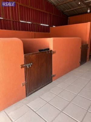 listing img