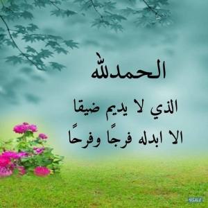 listing img