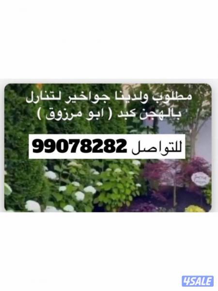 listing img