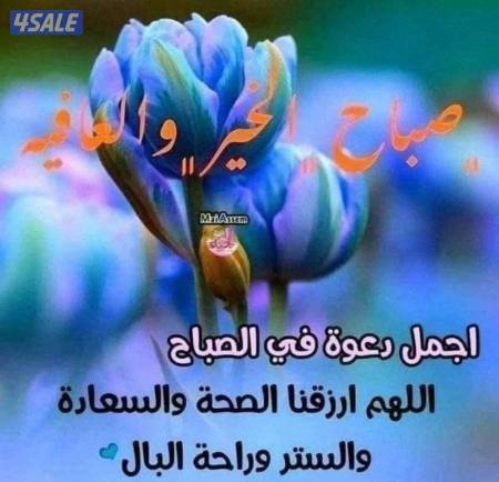 listing img