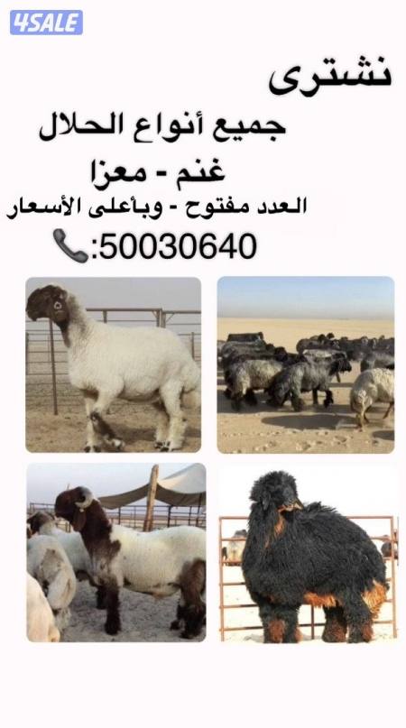 Listing image